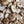 Shiitake Cremini Sea Salt