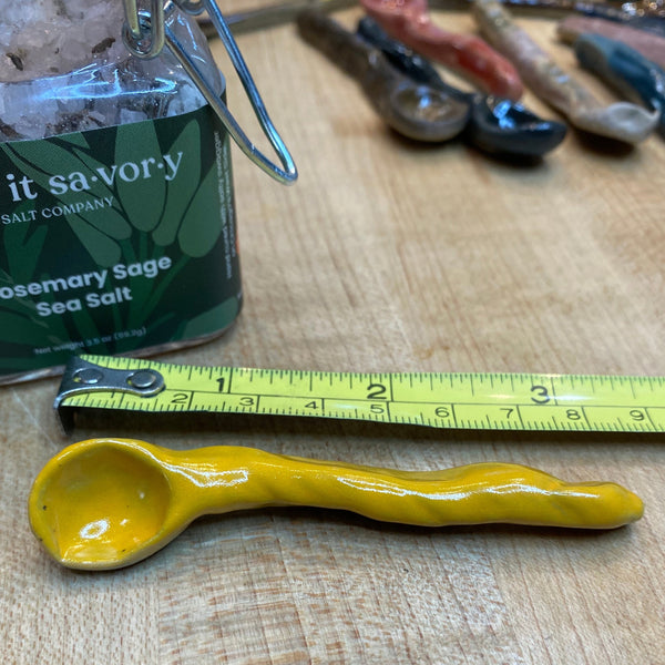 Salt Spoon #23 2023